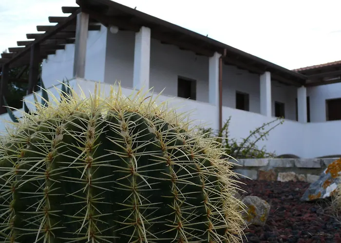 Agave Alghero