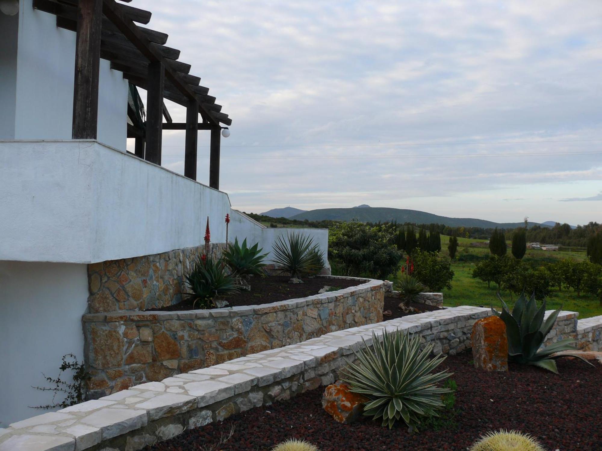 Agave Alghero *