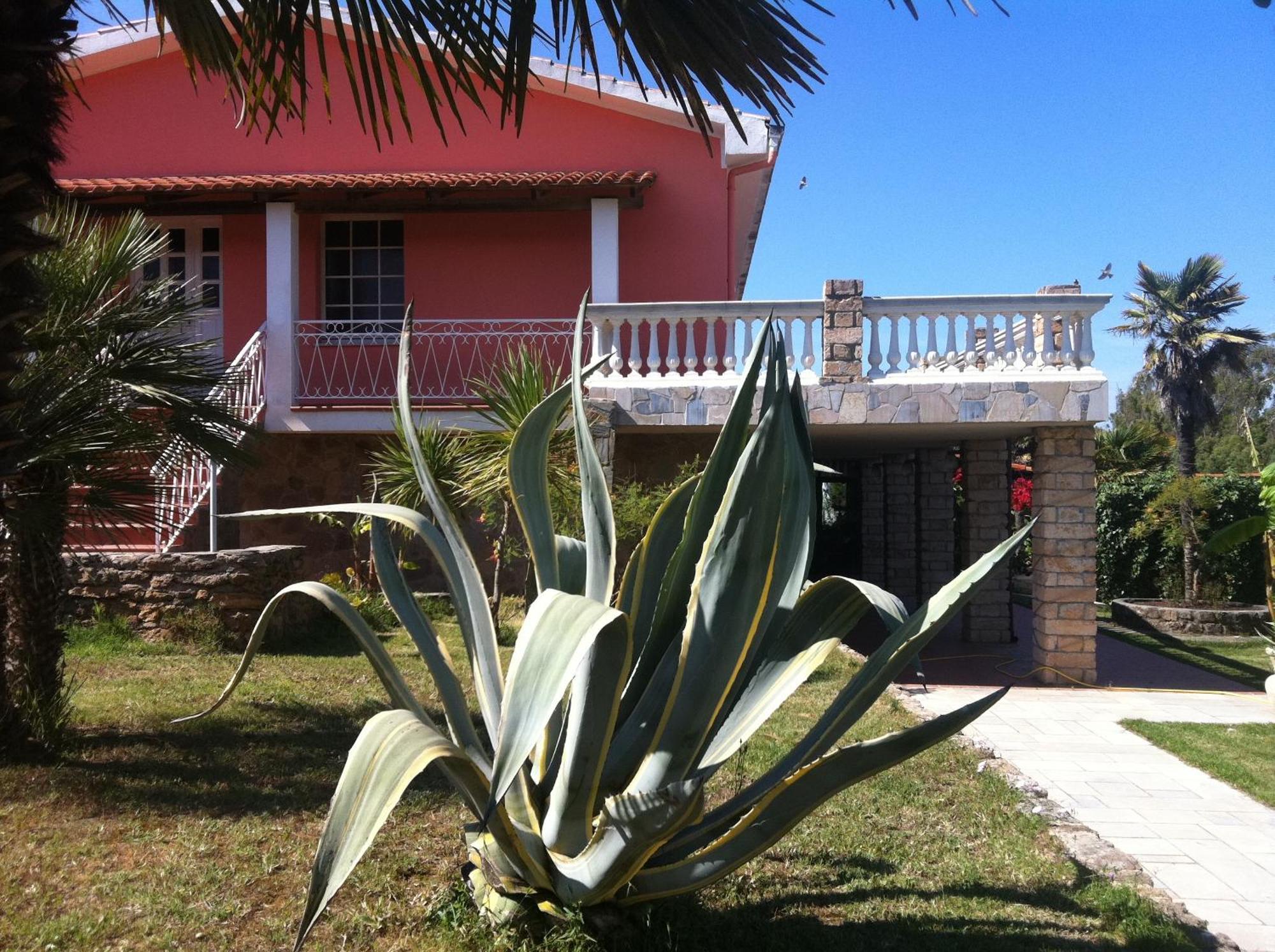Agave Alghero *